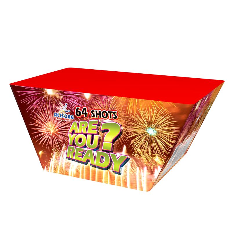 Are You Ready 64Shots Fan Cake
