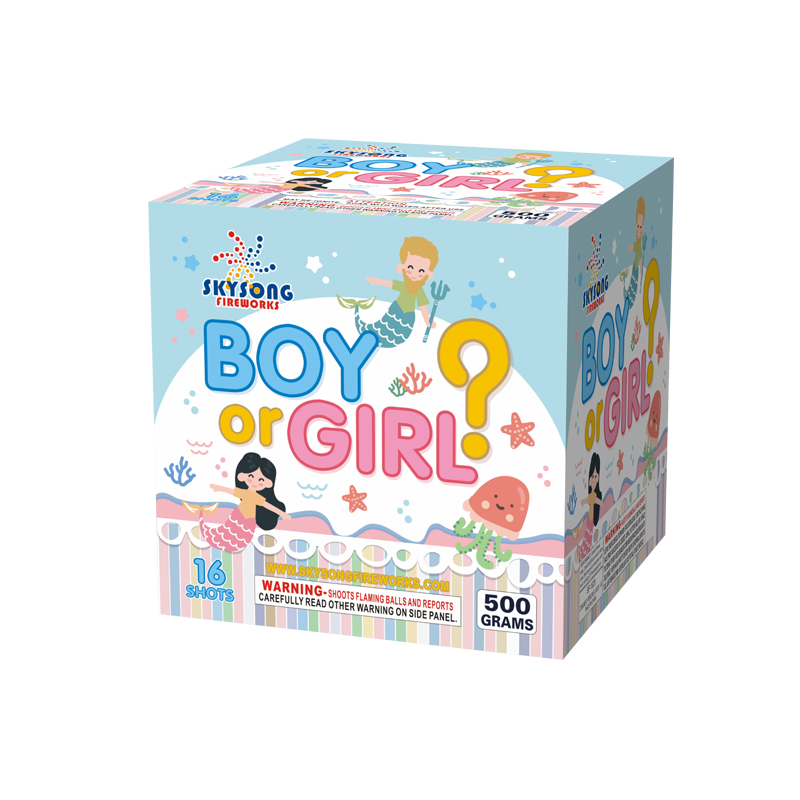 Boy or Girl 16Shots