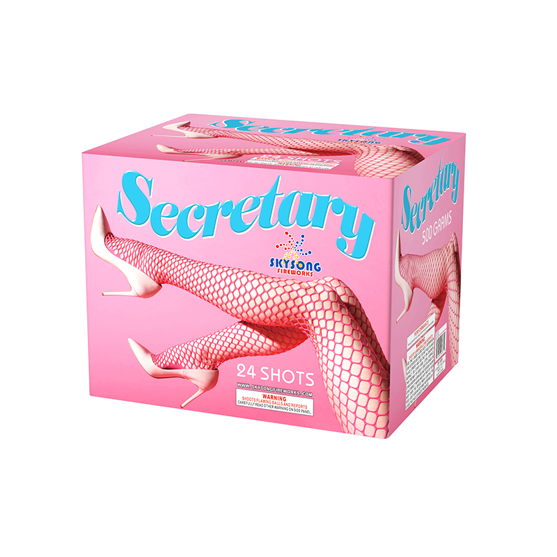 Secretary 24Shots