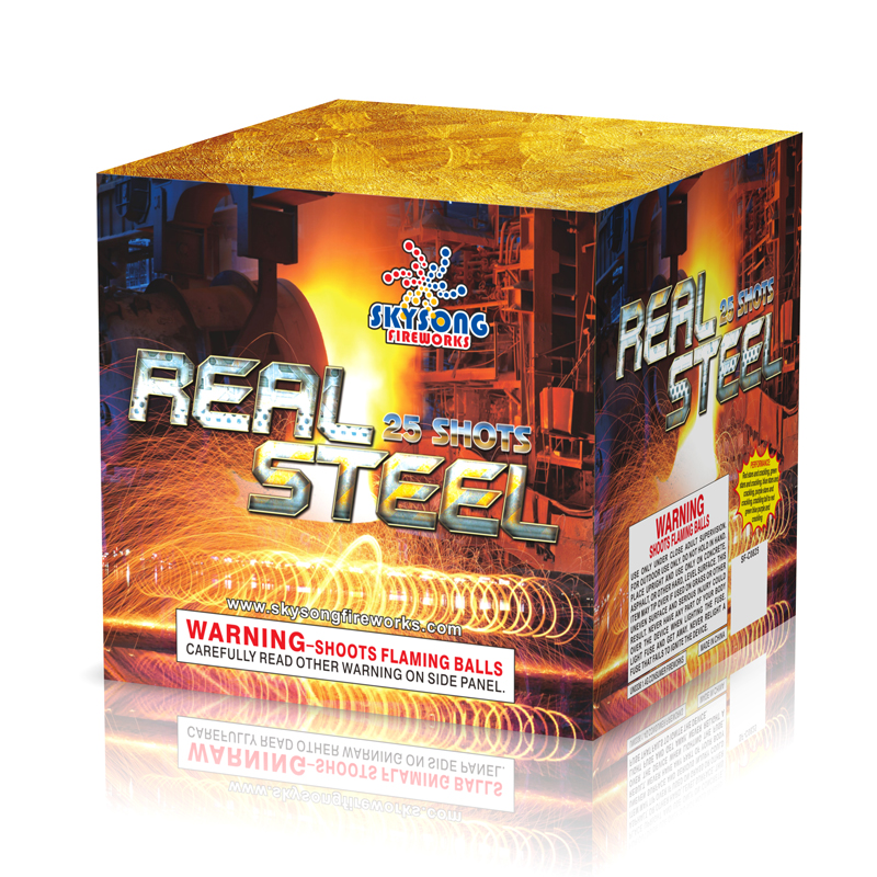 Real Steel 25Shots