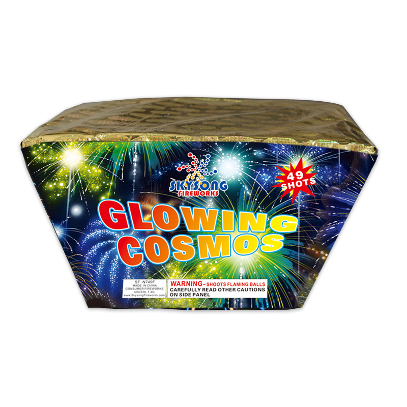 Glowing Cosmos  49Shots Fan cake