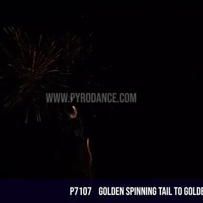Golden Spinning tail to Golden Palm 100Shots