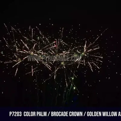 Color Palm/ Brocade Crown/Golden Willow Assorted 49Shots