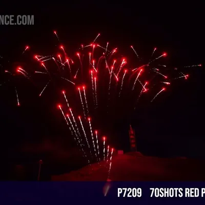 Crossette Red 70Shots Z Cake