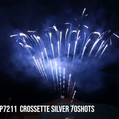 Crossette Silver 70Shots Z Cake