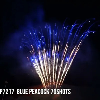 Blue Peacock 70Shots