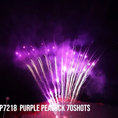 Purple Peacock 70Shots