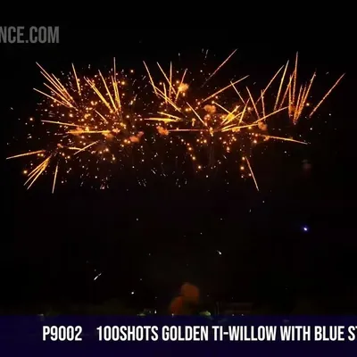100Shots Golden Ti-Willow with blue stars silver fish