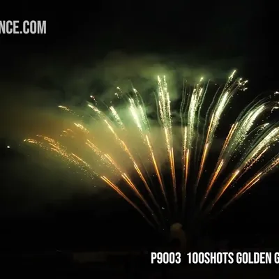 100Shots Golden Glittery Willow