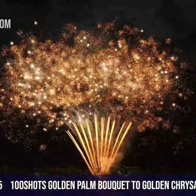 100Shots Golden palm bouquet to Golden Chrysanthemum