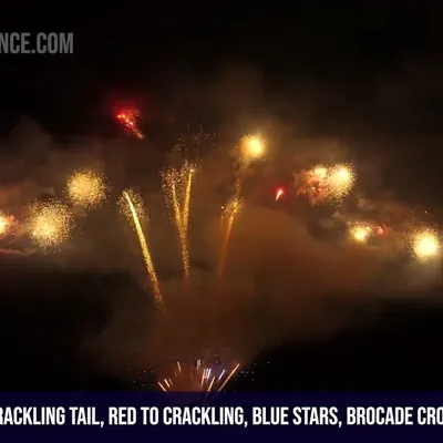 169Shots Crackling Tail, Red to Crackling, Blue Stars, Brocade Crown Tail, Crackling