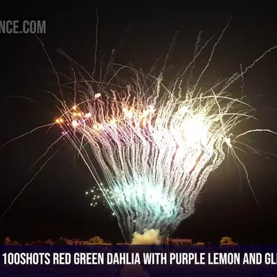100Shots Red green dahlia with purple lemon and glittery bouquet
