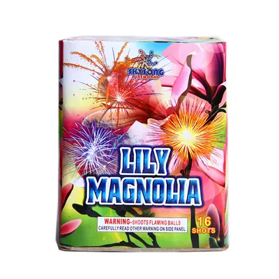 Lily Magnolia 16Shots